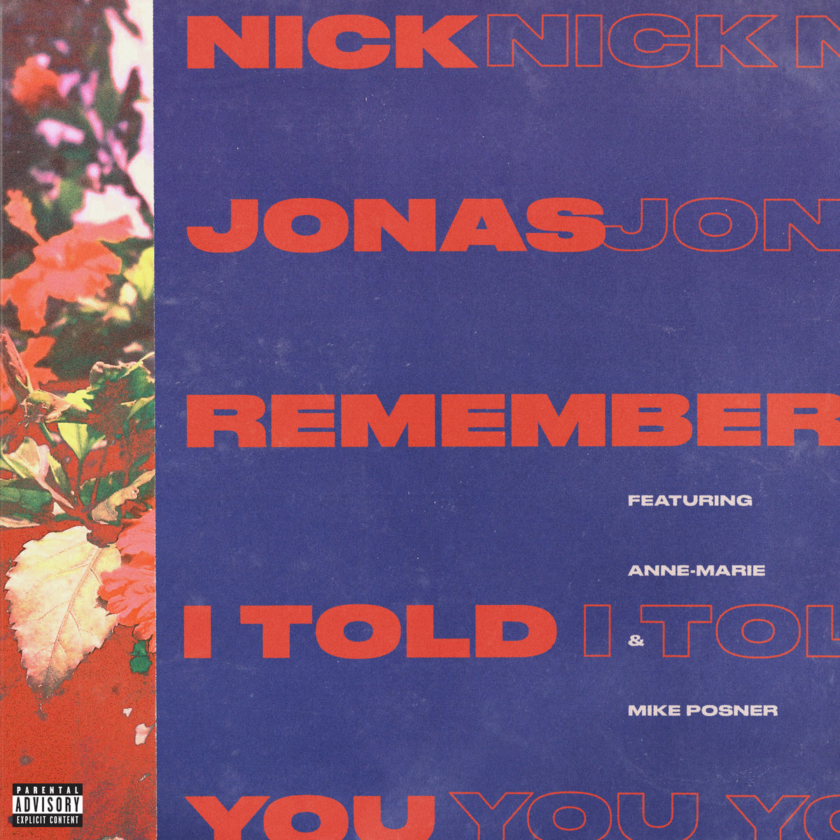 nickjonasremember.jpg